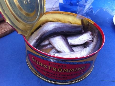 smelliest fish in the world|Swedish Surströmming: The Worlds Smelliest Food